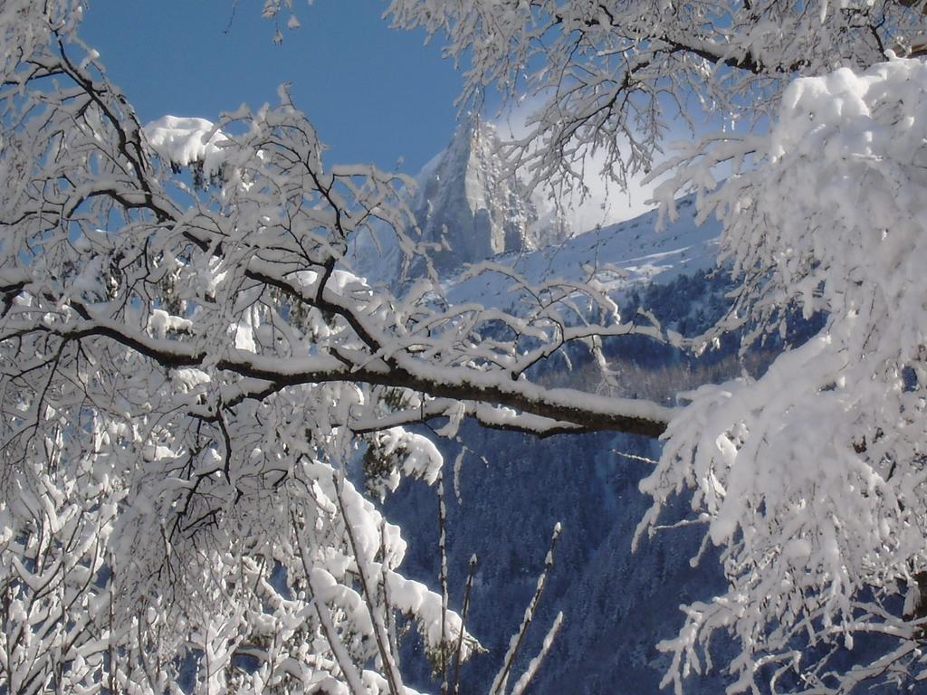 Villa Chalet Altitude 1057 Chamonix Exterior foto